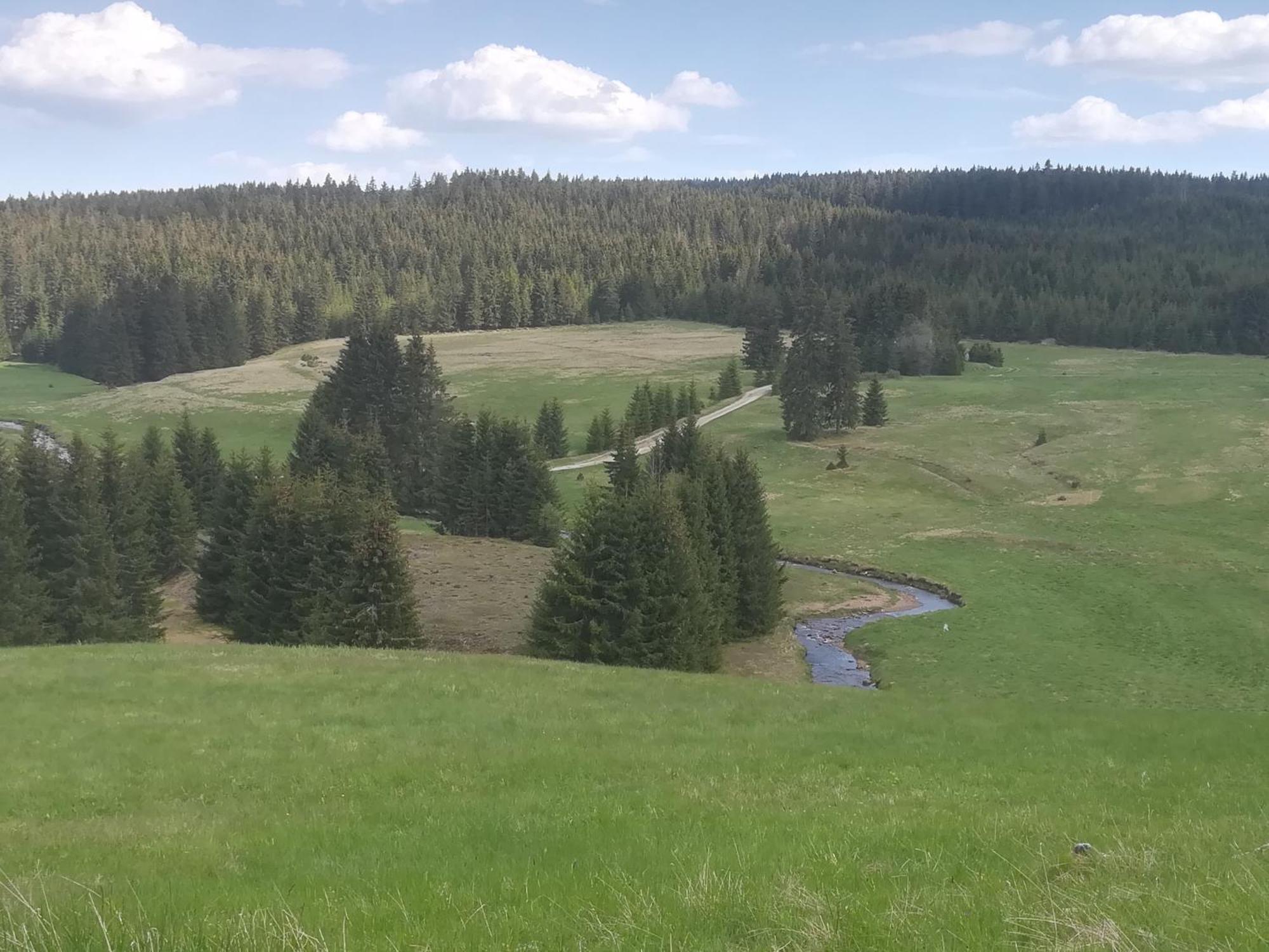 Ferienwohnung Zern Йохангеоргенштадт Экстерьер фото